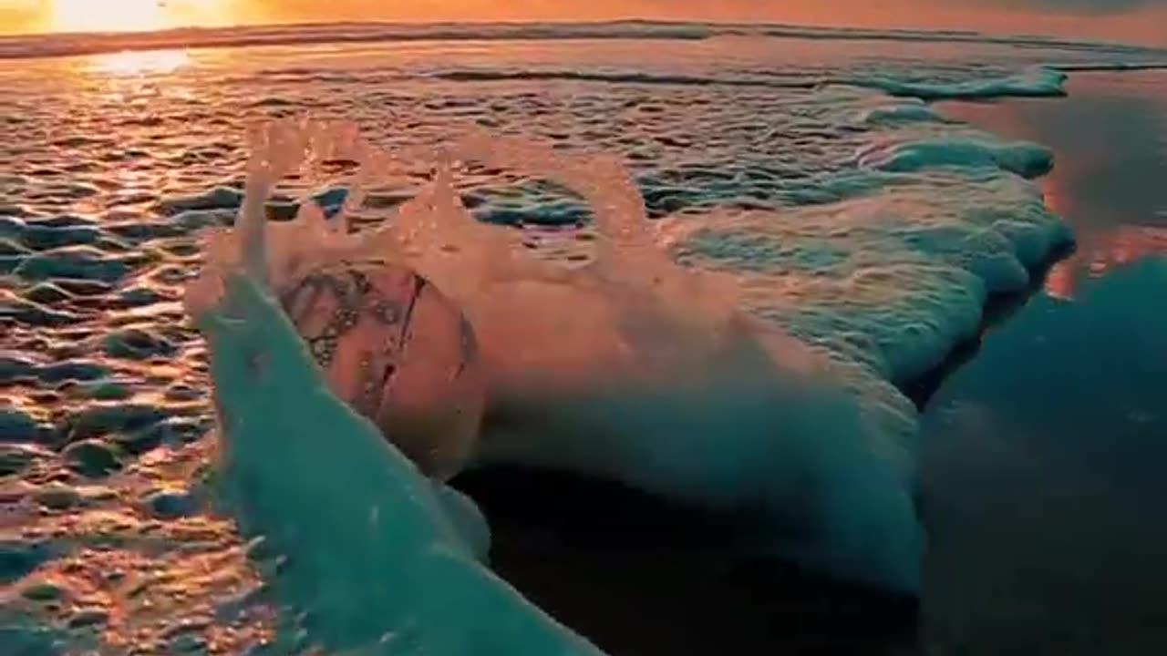 nature video