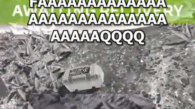 when you go bibi bobibibibihi