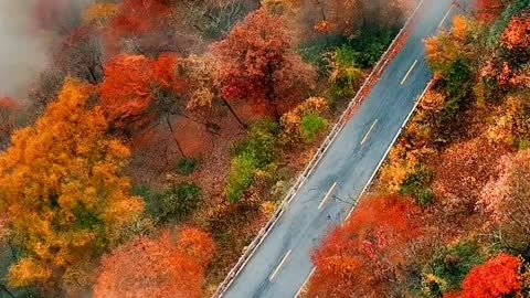 How beautiful autumn is in Shennongjia. Catch the tail of autumn