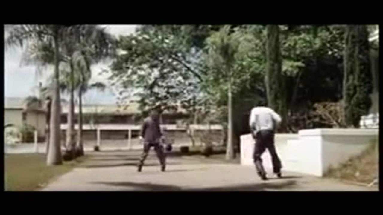 Die Todesfaust des Cheng Li