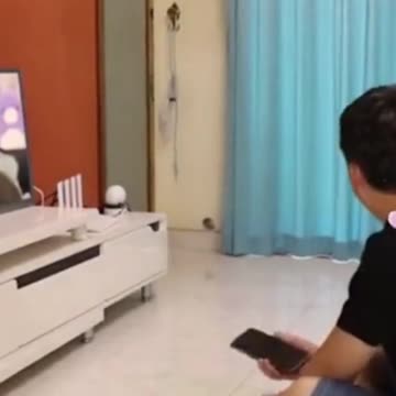 🤣 THE INCREDIBLE WALKING BACK OF A FEARED TV DOG 🤣