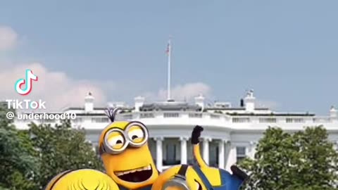 Minions