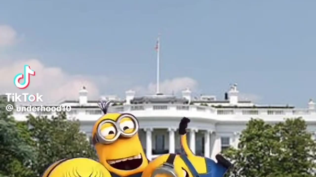 Minions