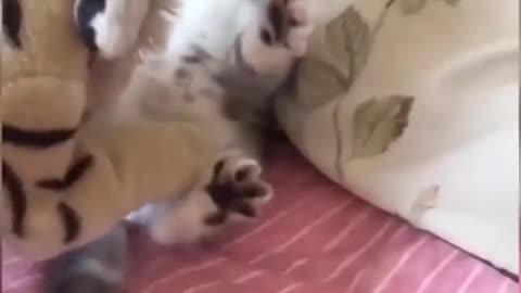 Try Not To Laugh Watching Funny Animals Compilation