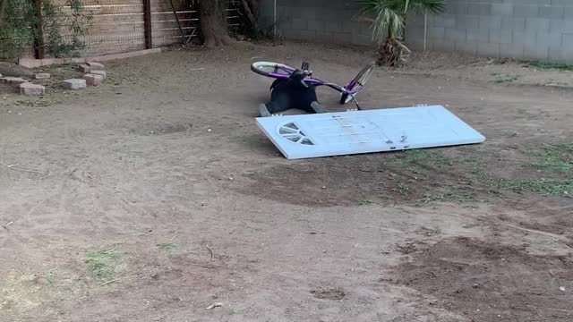 Woman Fails to Ride Up Makeshift Bike Ramp