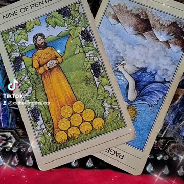 Nine of Wands & Page of Swords Reversed