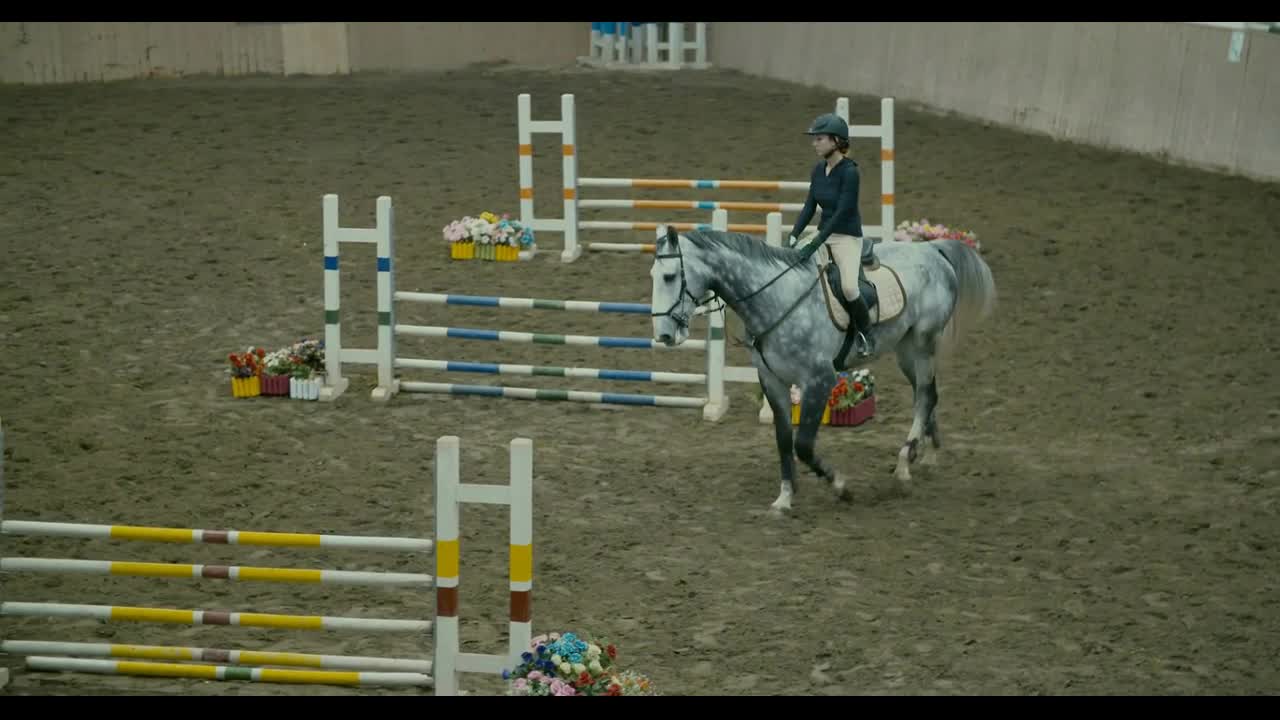 Girl playing with the horse in the arena