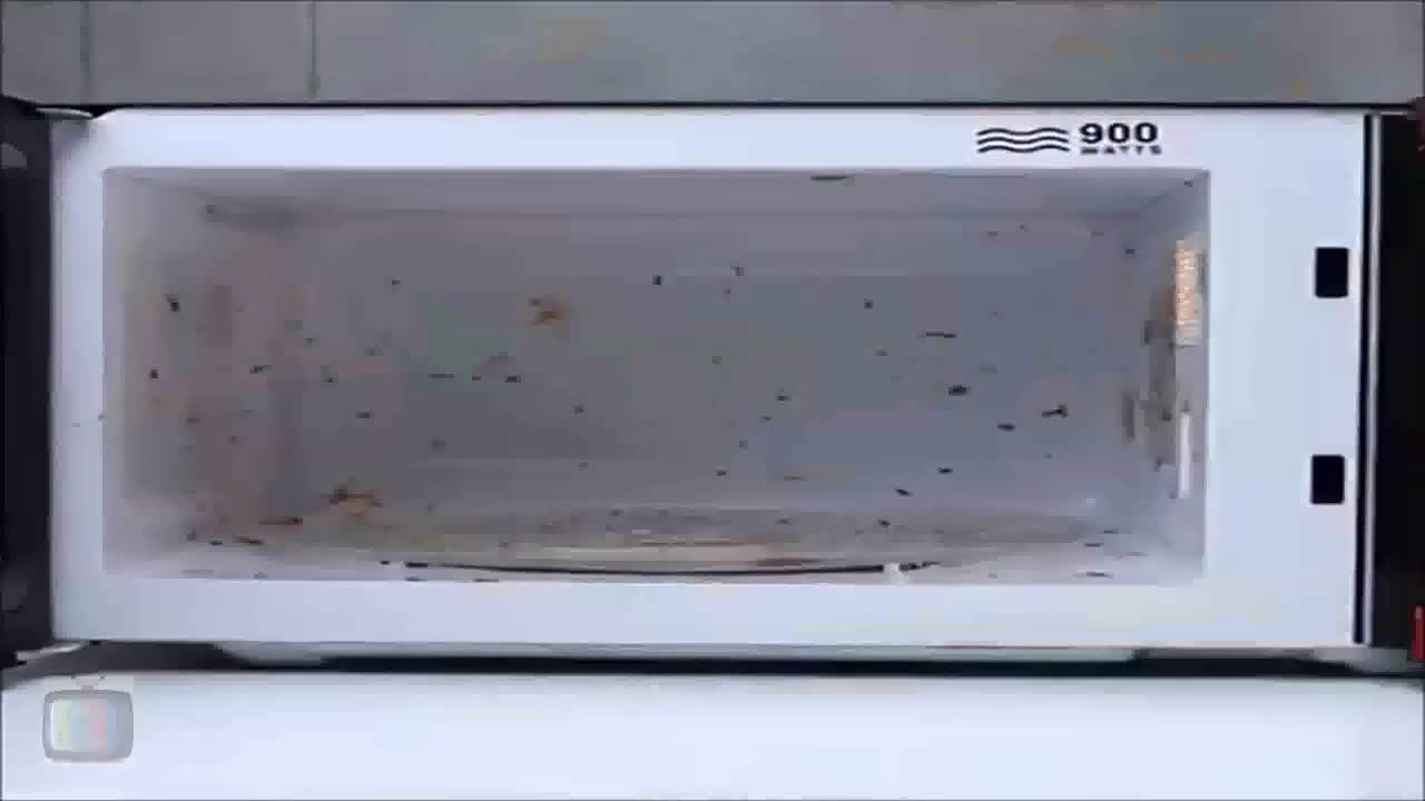 How To Clean Microwave In Easy Way