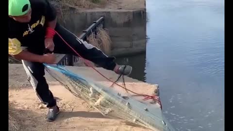 The Most amazing Catching Fish