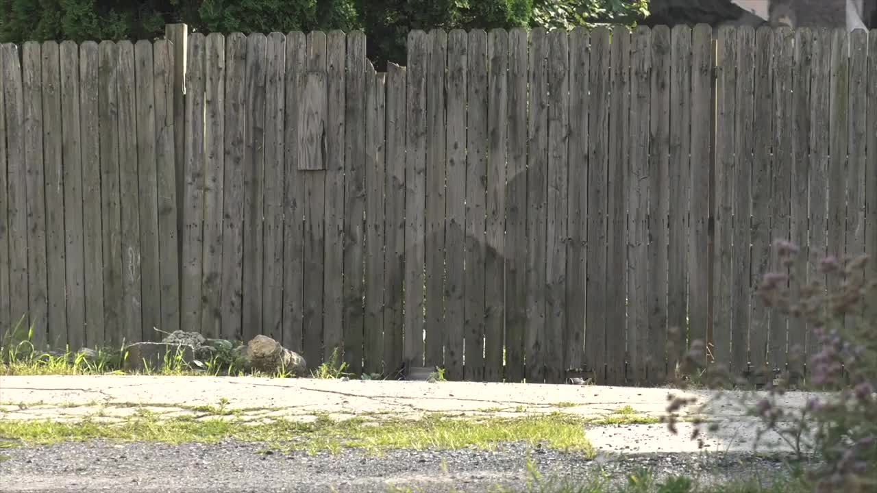 RAW FOOTAGE of bomb squad in Catasauqua, PA.