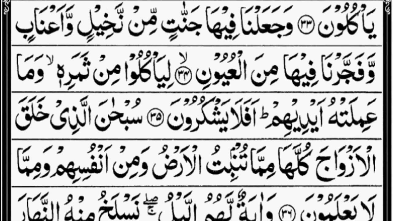 Surah Yasin| Holly Quran