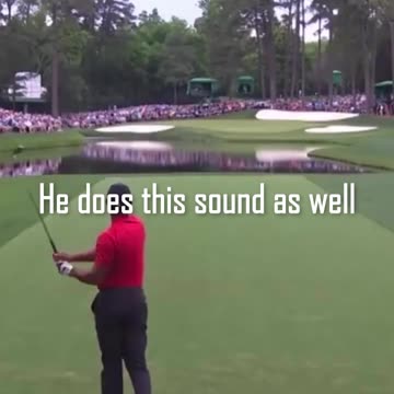 Clutch shot from the GOAT - Tiger Woods #golf #clutch #shot #tiger #woods #green #fairway #flawless