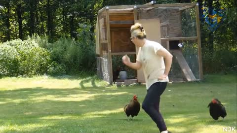 Funny animal attack. 99% try very hard to not laugh.