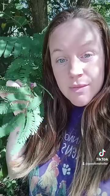 WAKE Up and Smell the Bullshit!