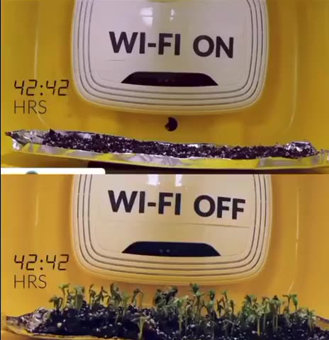 This video gives a good look at the effects of WIFI radio waves and...