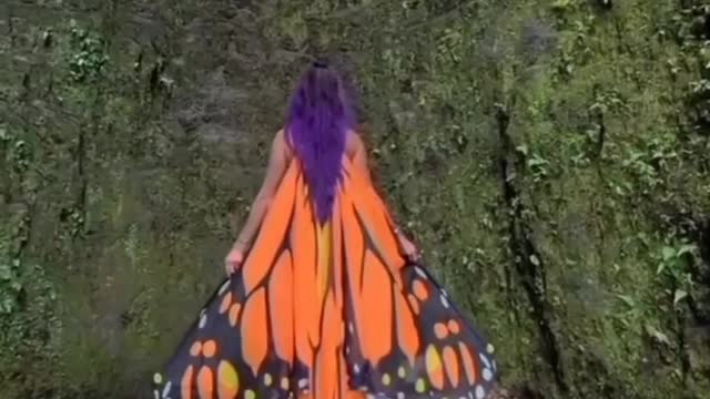 funny video