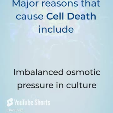 Factors that can Contribute to Cell Death #primarycells #cellculture #research