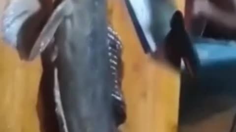 This is a beautiful and charming water-dwelling species