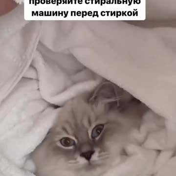 Can’t part ways with that blanket? 🤣