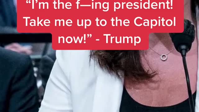 Trump grabbed steering wheel to drive himself to the Capitol on Jan. 6