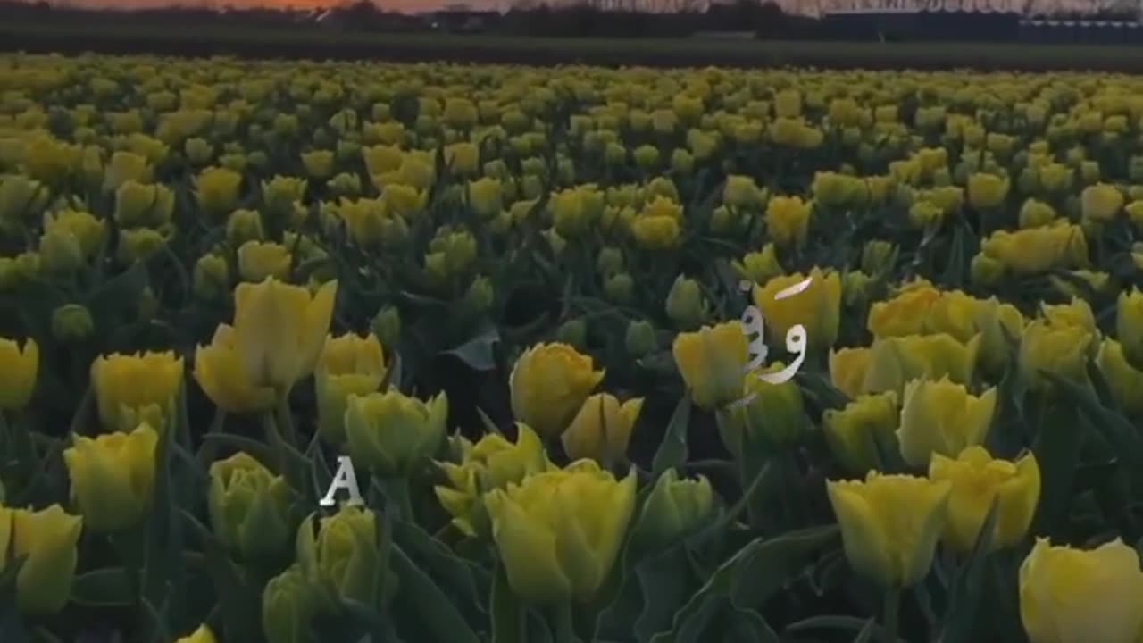 Quran
