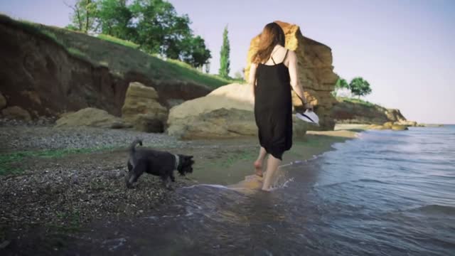 Puppy running near it owner legs in pebble beach during sunset