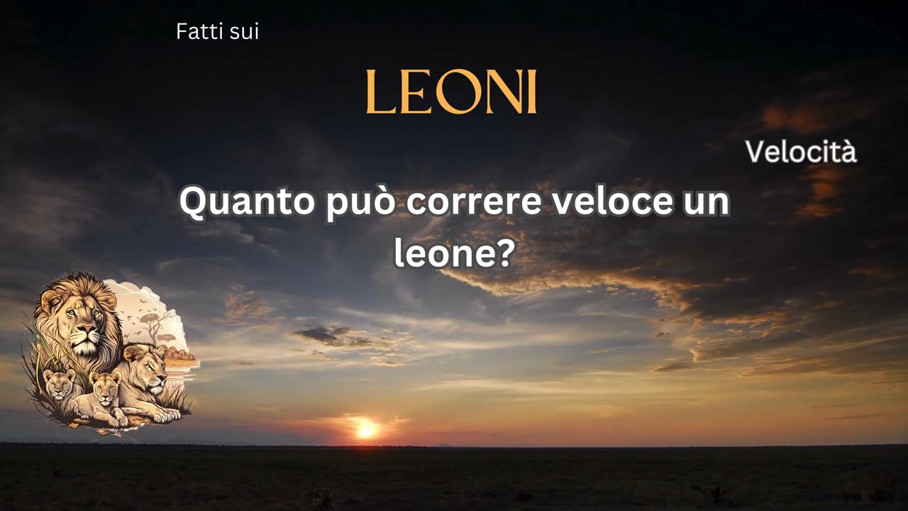 Fatto del Leone 8 - Quanto può correre veloce un leone?