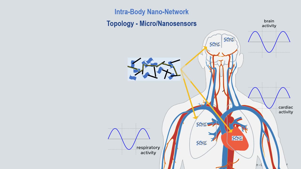 (IoB) Intracorporeal Communications Network. Intra Body Nano Network Topology