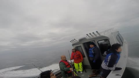 Halibut Fishing in Homer Alaska