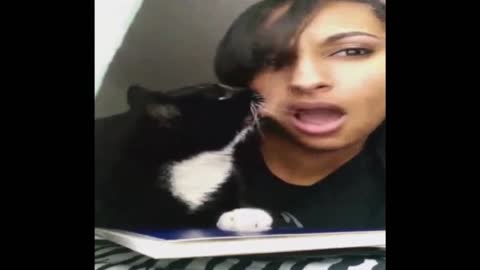 Angry cat bites owner's face