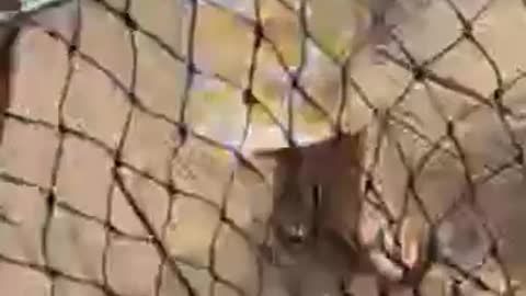 LOOK WHAT THEY CAUGHT!!!
