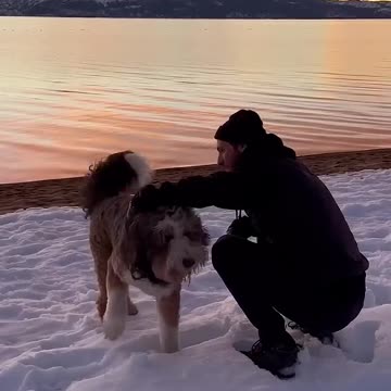 a man and his best friend