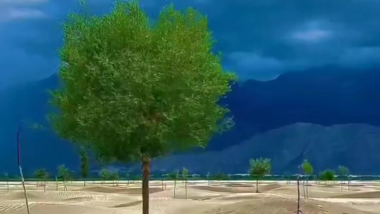 Nature With Naat sharif