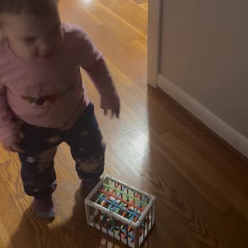 Look Mom! I have Bluey’s Dad in a cage.