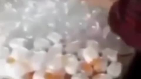 artificial eggs
