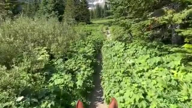 Riding through the woods,