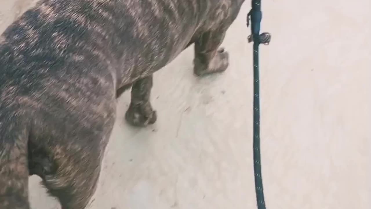 Murife don't what😱