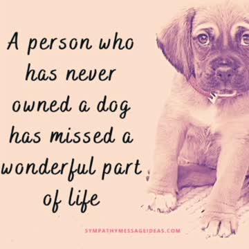 Dod fans wonderful part of my life