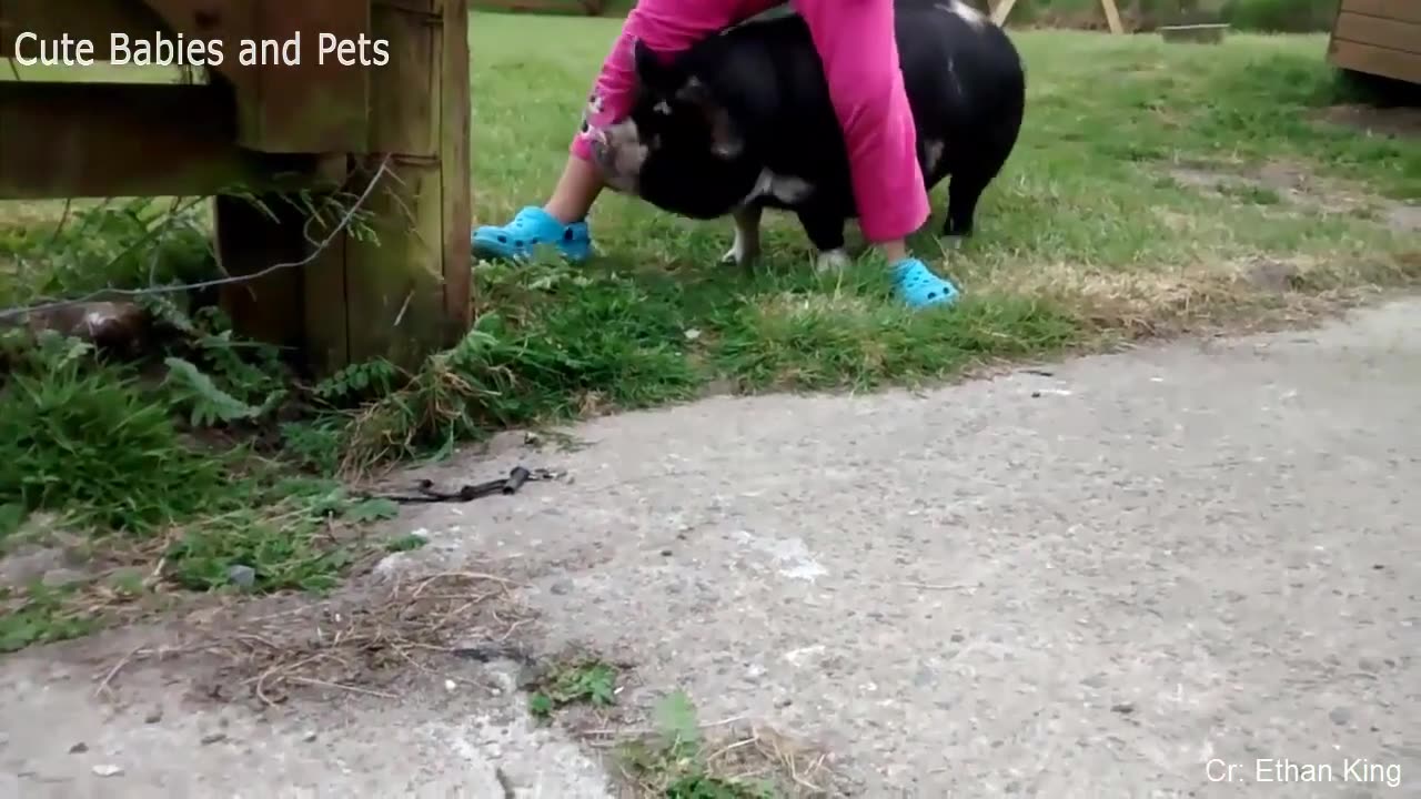 Funny situation animals chasing people