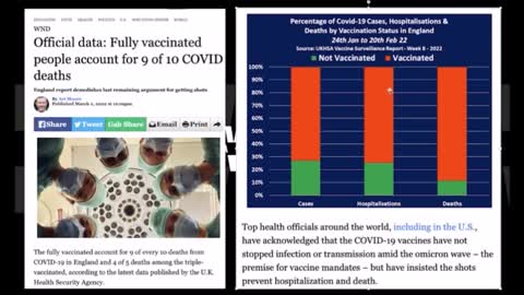 Death rate for jabbed, and unjabbed