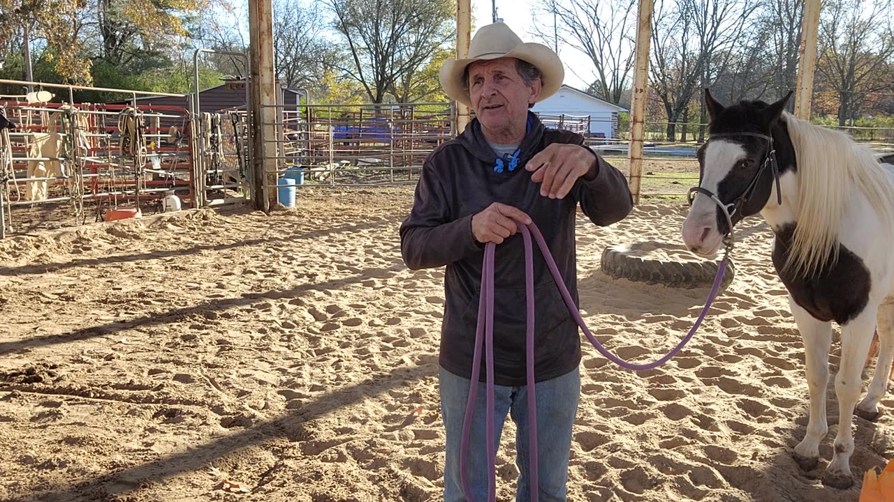 Ground work is for people and horses