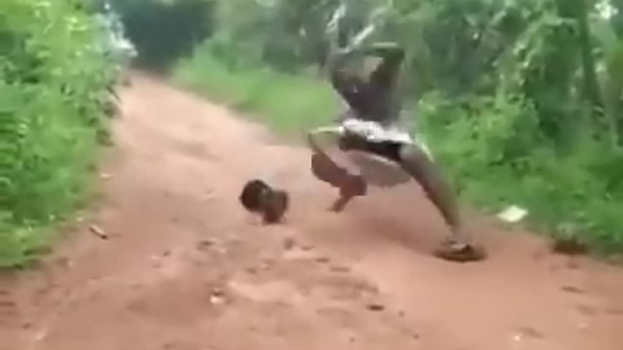 Paambu comedy video Funny snake video