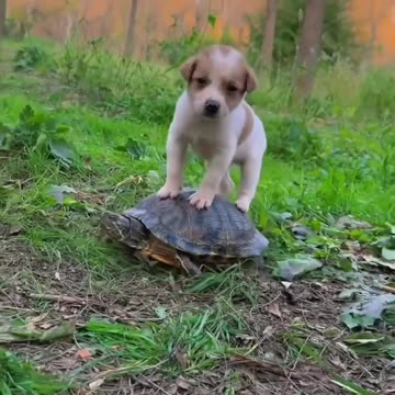 You have arrived destination 😂🔥