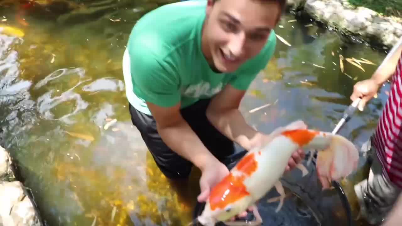 Unbelievable Fishing with The World's Biggest Freshwater Fish