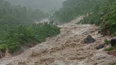 Video Himachal Pradesh dharamshala