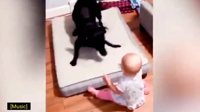 Baby vs dog