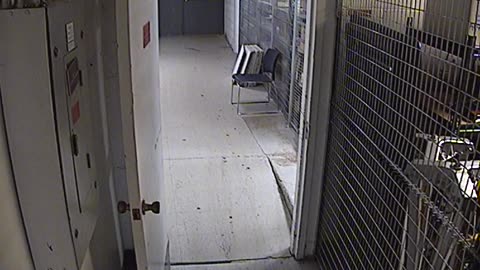 1009RSOBBASRB31RearDoor_2021-01-05_00h40min00s013ms.mp4