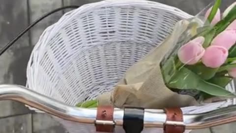 a flower with bike