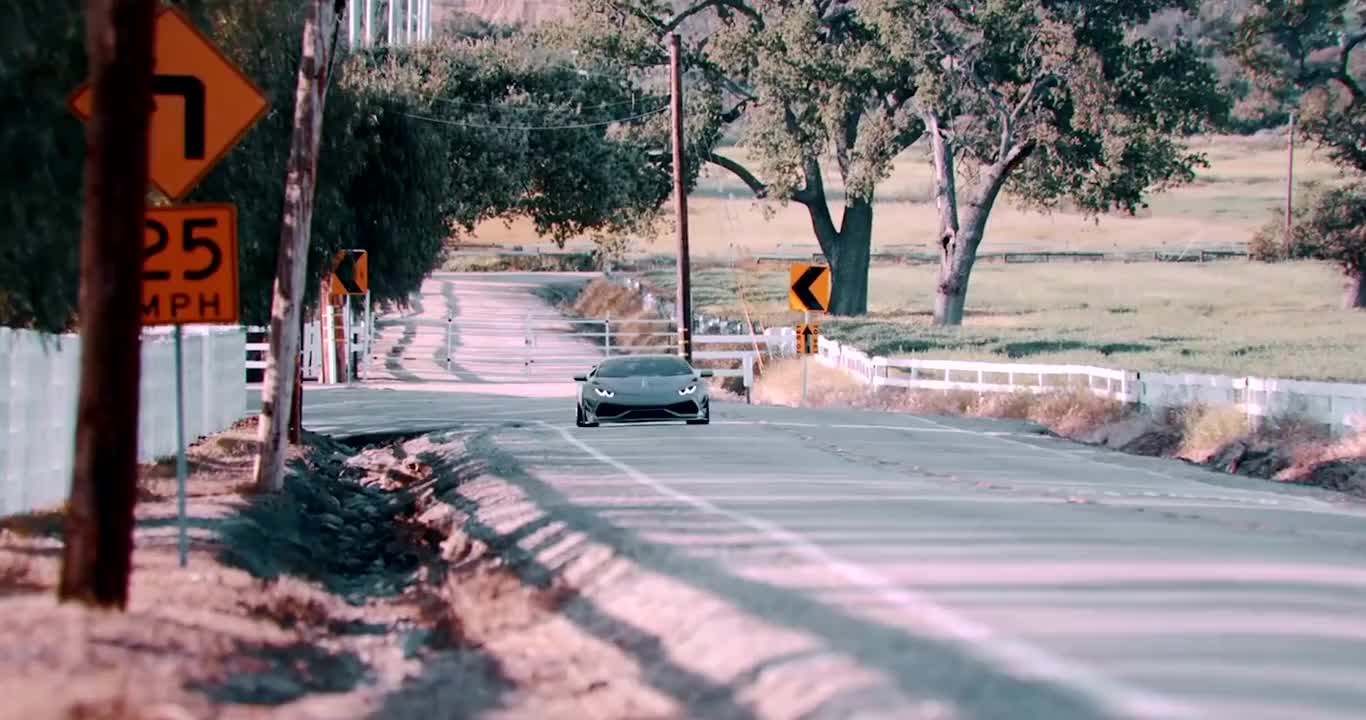 So fast, what kind of cow is this# Lamborghini huracan