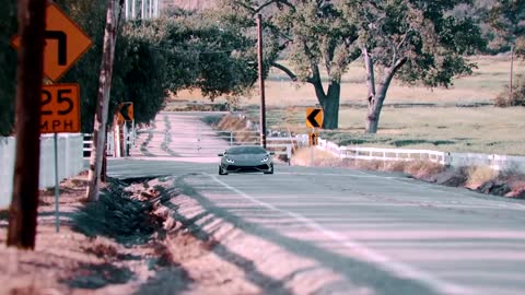 So fast, what kind of cow is this# Lamborghini huracan